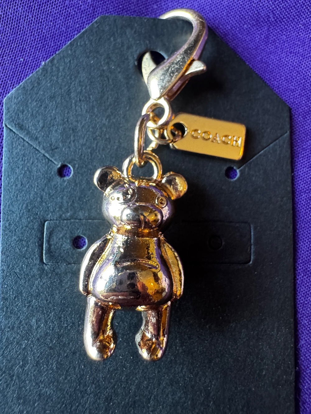 Coach 3D Gold Mini Teddy Bear Bag Charm Keychain EUC - Picture 2 of 12